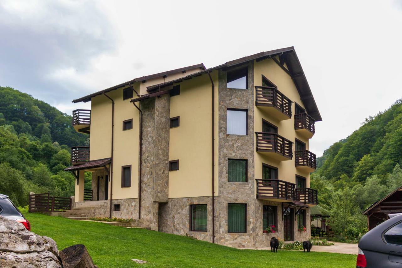Casa Valea Cernei Hotel Isverna Exterior photo