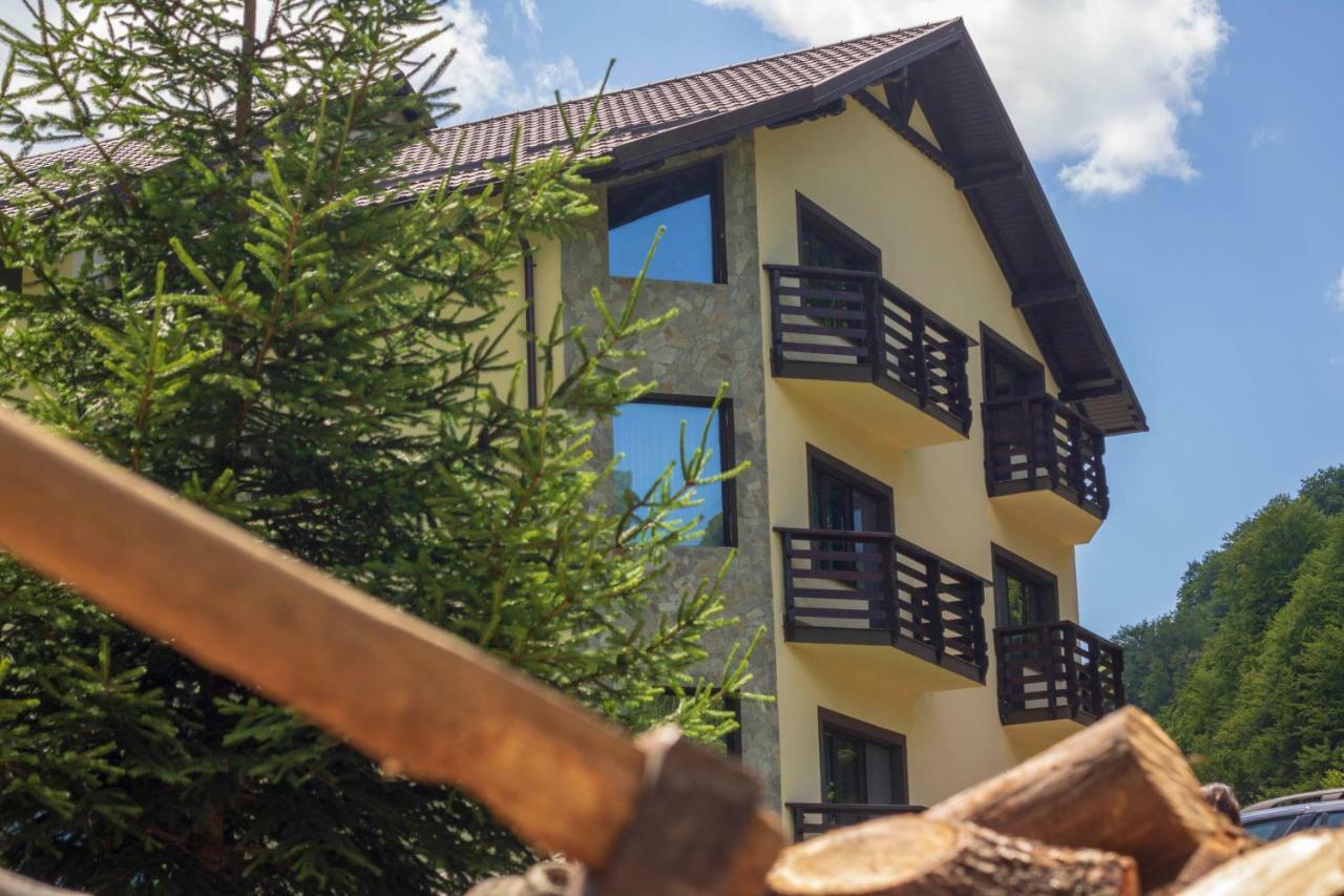 Casa Valea Cernei Hotel Isverna Exterior photo